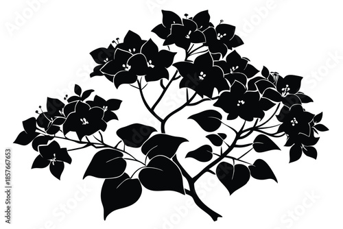 bougainvillea silhouette line art vector illustration