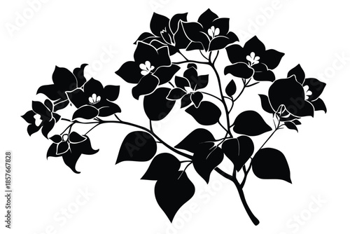 bougainvillea silhouette line art vector illustration