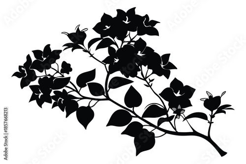 bougainvillea silhouette line art vector illustration