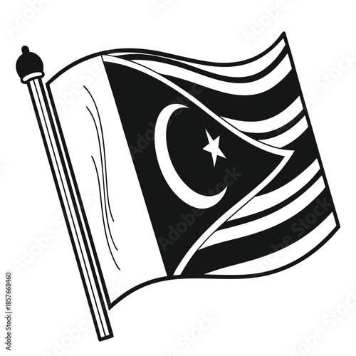Pakistani Flag Silhouette Icon