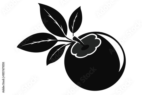 blueberry silhouette line art vector illustration