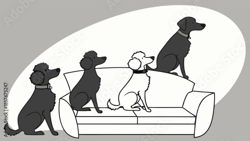 Standing Out From The Crowd Unique White Dog Among Black Dogs Group Diversity And Inclusion Illustration