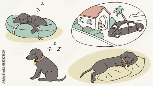 Cute Black Dog Sleeping Restfully Dreaming of Home and Car Travel Pet Comfort and Relaxation Illustration