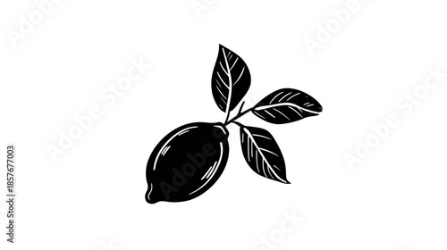 Black and white hand-drawn lemon illustration with leaves. Simple, minimalist citrus fruit graphic on a white background.