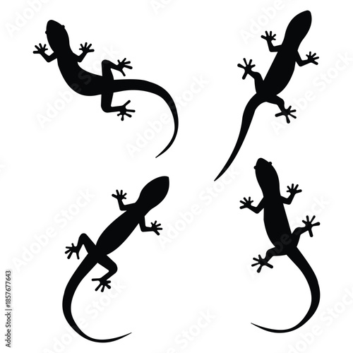 Lizard vector, icon set. Lizard, gecko silhouettes isolated on a white background. Set of reptile vector symbol icon. Vector illustration.