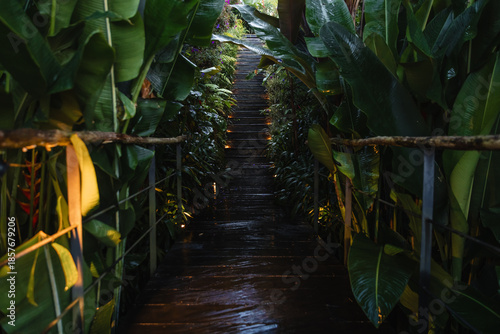 Wallpaper Mural Pathway with steps and glowing lights leading through lush green jungle. Torontodigital.ca