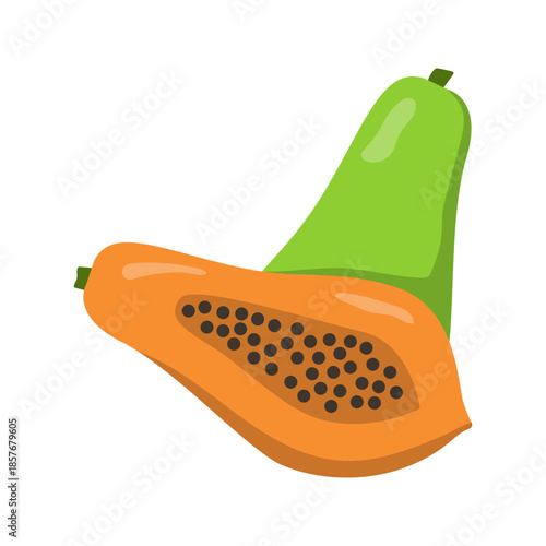 Tropical papaya fruit flat color illustration isolated vector
