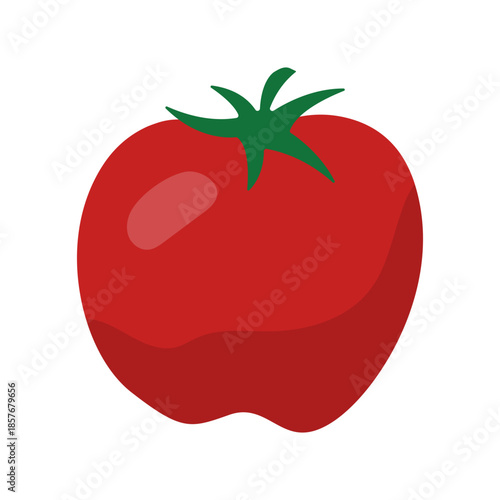 Red tomato vegetable flat color illustration isolated vector
