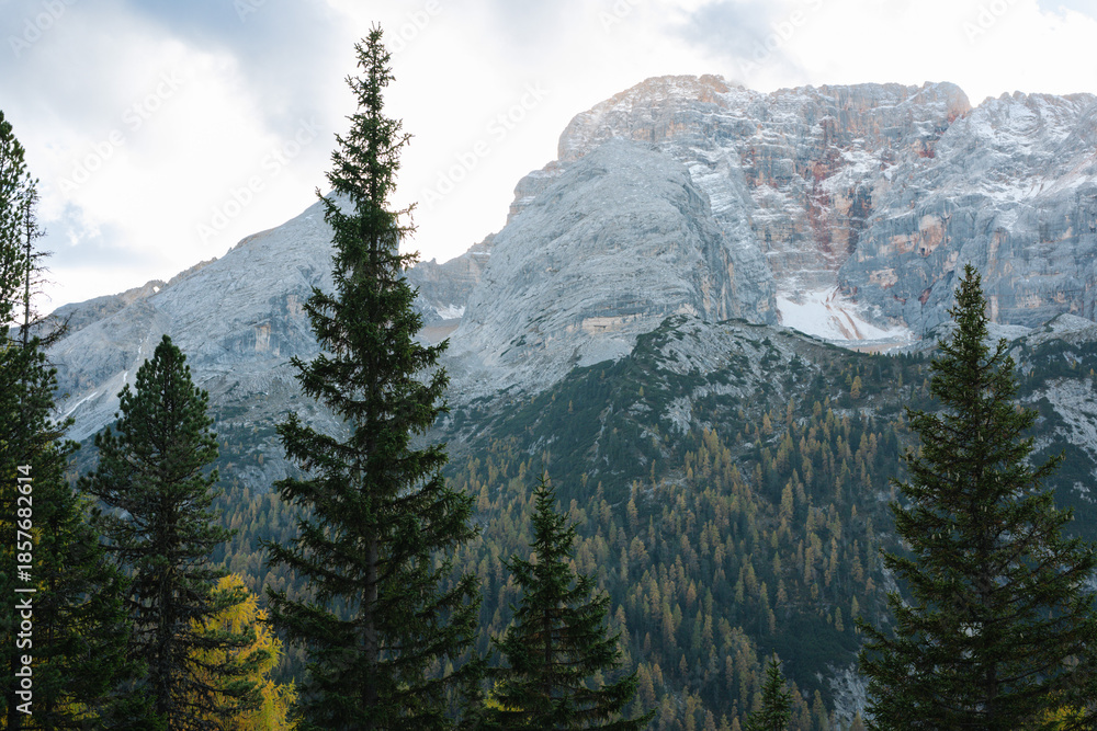 Fototapeta premium Mountain forest - Prato Piazza in Dolomites Italy, fall landscape in the mountains with alpine trees and forests