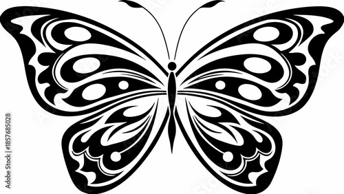 Stunning black and white butterfly with intricate wing design