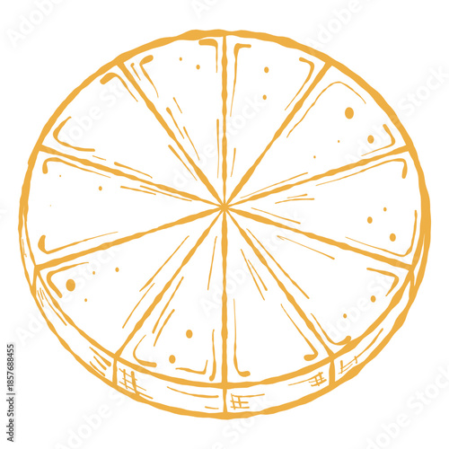 Cheese wheel slices, top view illustration. Slice set vector. Circular cheese, appetiser graphic