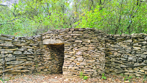 Capitelle dans la garrigue 