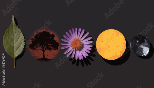 Natural elements graphic set with forest tree, blooming flower, morning sun, and water droplet for organic product packaging and eco themes.