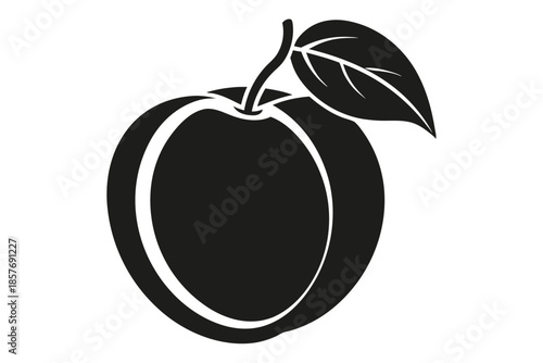 apricot silhouette line art vector illustration