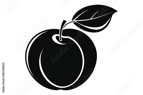 apricot silhouette line art vector illustration