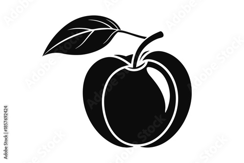 apricot silhouette line art vector illustration
