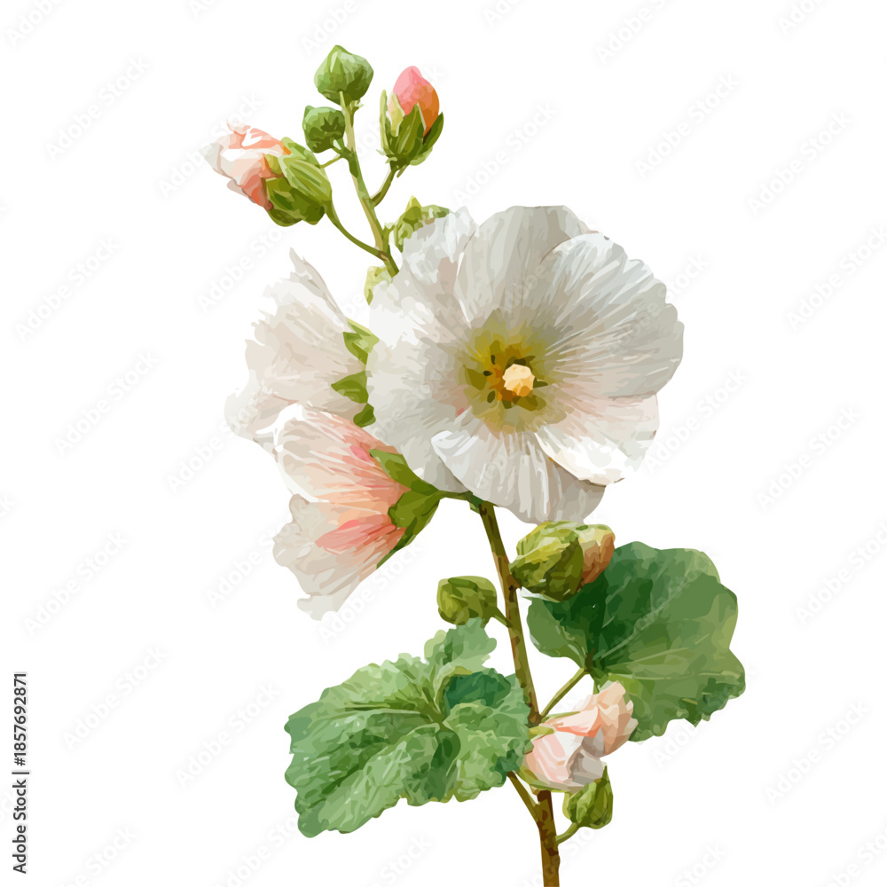 Fototapeta premium Hollyhock Flower, watercolor illustration vector, isolated on a white background.