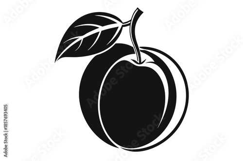 apricot silhouette line art vector illustration