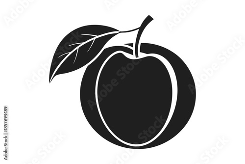 apricot silhouette line art vector illustration