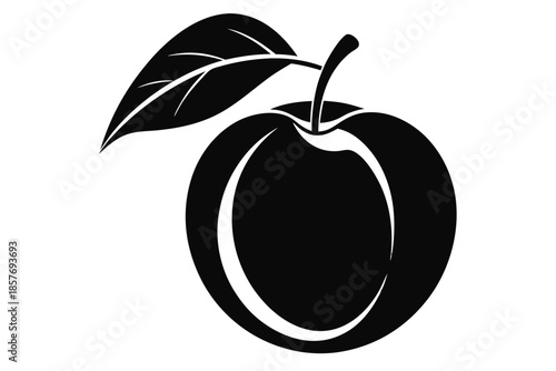 apricot silhouette line art vector illustration