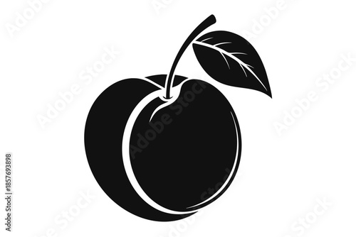 apricot silhouette line art vector illustration