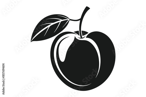 apricot silhouette line art vector illustration