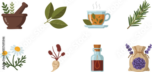 Herbal Remedies and Natural Health Products