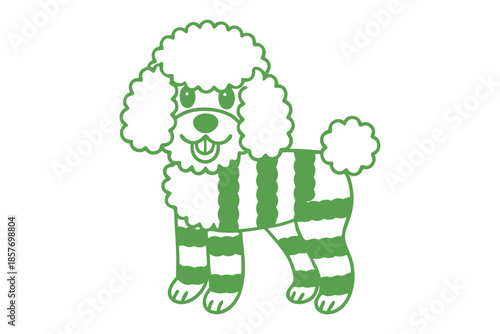 Smiling green poodle with stripe pattern showing tongue looks friendly and approachable on white backdrop