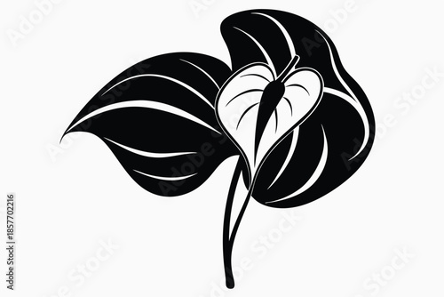 anthurium silhouette line art vector illustration