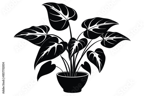 anthurium silhouette line art vector illustration