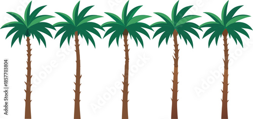 Five green palm trees lined up against white background