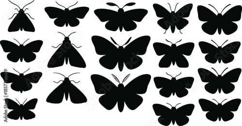 Butterfly and moth silhouettes, insect icons, wing shapes, entomology design, nature clipart, vector insects, biodiversity illustration, Lepidoptera graphic
