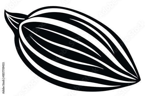 almond silhouette line art vector illustration