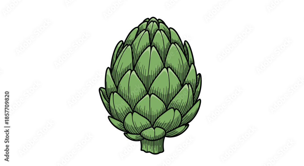 Fototapeta premium A single fresh green artichoke illustrated in a detailed, colorful vintage engraving style, showcasing its layered leaves and texture.