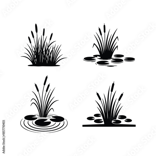 pond vegetation reeds and cattails set of silhouette vector illustration