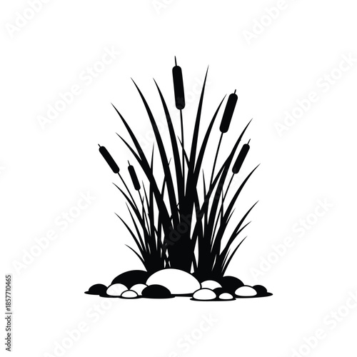 Reed grass and cattail cluster with pond stones silhouette vector illustration