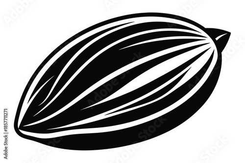 almond silhouette line art vector illustration