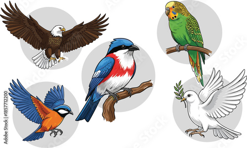Diverse Set of Five Birds Including a Bald Eagle, Budgerigar Parakeet, Blue Shrike, Peace Dove, and a Flying Blue/Orange Bird in an Isolated Vector Illustration.