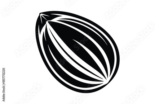 almond silhouette line art vector illustration