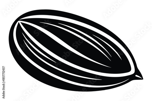 almond silhouette line art vector illustration