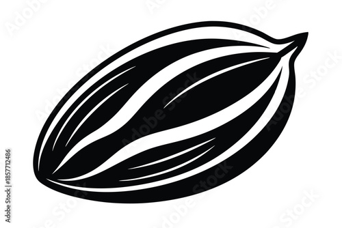 almond silhouette line art vector illustration