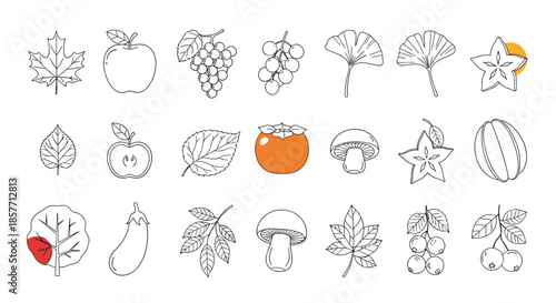 Collection of autumn harvest and nature icons in a clean outline style featuring fall leaves, seasonal fruits, and forest mushrooms.