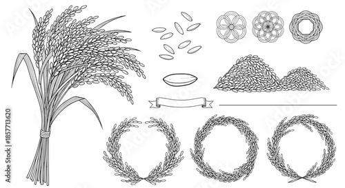 Artistic set of rice plant illustrations and cereal grain symbols in an elegant line art style for agricultural and culinary branding.