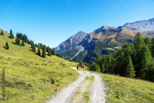 Wandern in Tirol im Zillertal