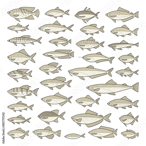 hand drawn cute cartoon vector illustration set of ornamental fish.
