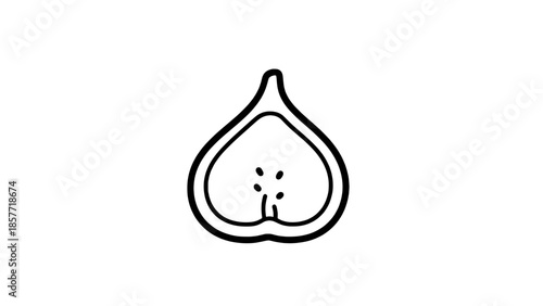 Cross-section fig fruit outline icon - minimalist black line art vector