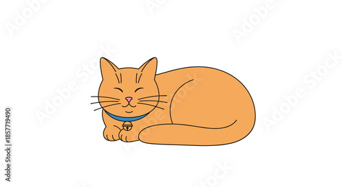 Cute and contented ginger cat with a blue collar and bell, lying down with its eyes closed in a peaceful sleep.