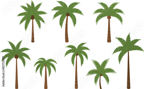 Tropical palm trees collection set with various exotic coconut tree silhouettes isolated on white background for summer vacation and beach design.