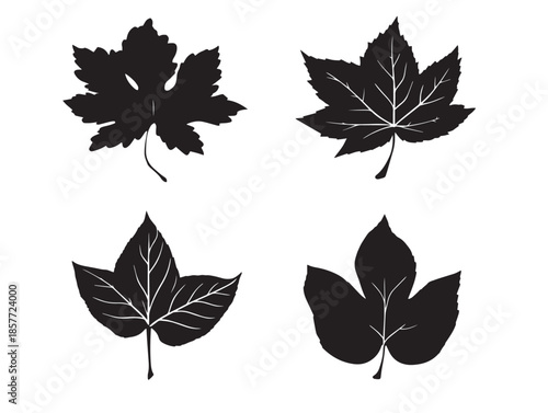 A simple and stunning solid black autumn leaf silhouette icon collection