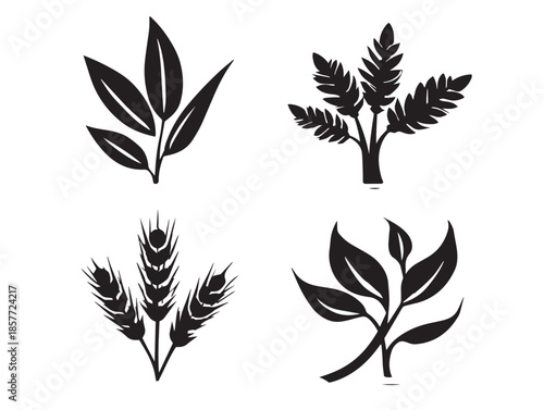 A gorgeous set of four detailed black barley ear silhouette vector icons
